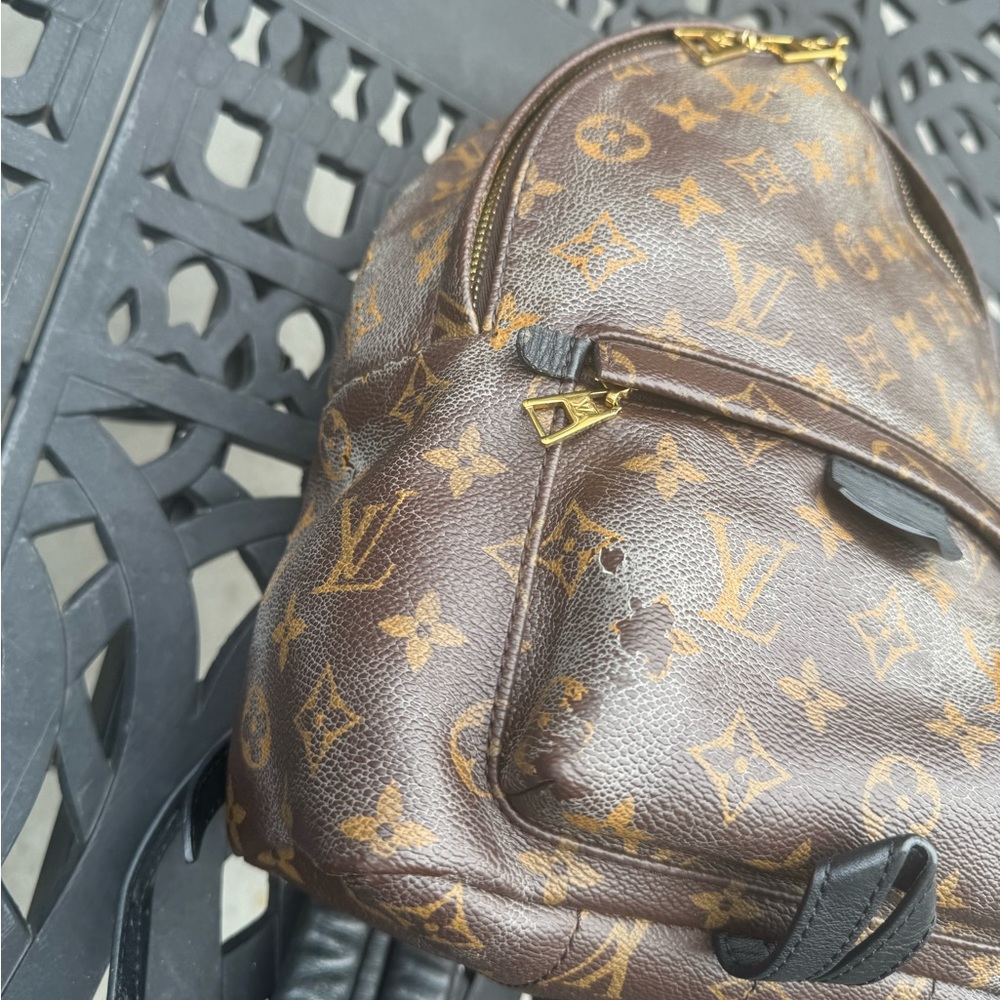 Louis Vuitton Monogrammed Palm Springs PM - Picture 16 of 16